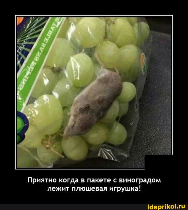 Приятно когда в пакете с виноградом лежит плюшевая игрушка!