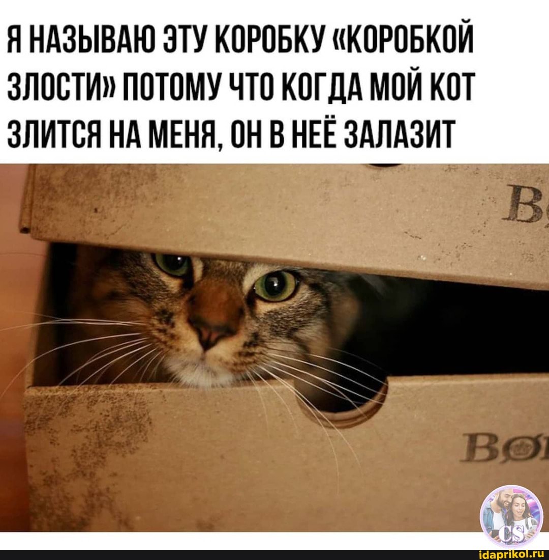 ЯНАЗЫВАЮ ЭТУ КОРОБКУ "КОРОБКОЙ
ЗЛОСТИ" ПОТОМУ ЧТО КОГДА МОЙ КОТ ЗЛИТСЯ НА МЕНЯ, ОН В НЕЕ ЗАЛАЗИТ