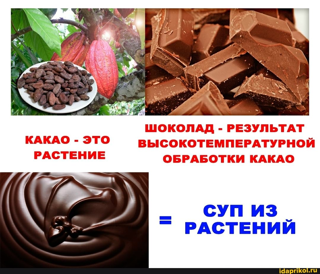 ШОКОЛАД - РЕЗУЛЬТАТ КАКАО - ЭТО ВЫСОКОТЕМПЕРАТУРНОЙ РАСТЕНИЕ ОБРАБОТКИ КАКАО
_ СУП из _
РАСТЕНИЙ