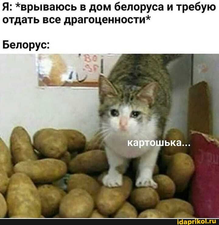 Я: *врываюсь в дом белоруса и требую отдать все драгоценности*
картошька...
Белорус: