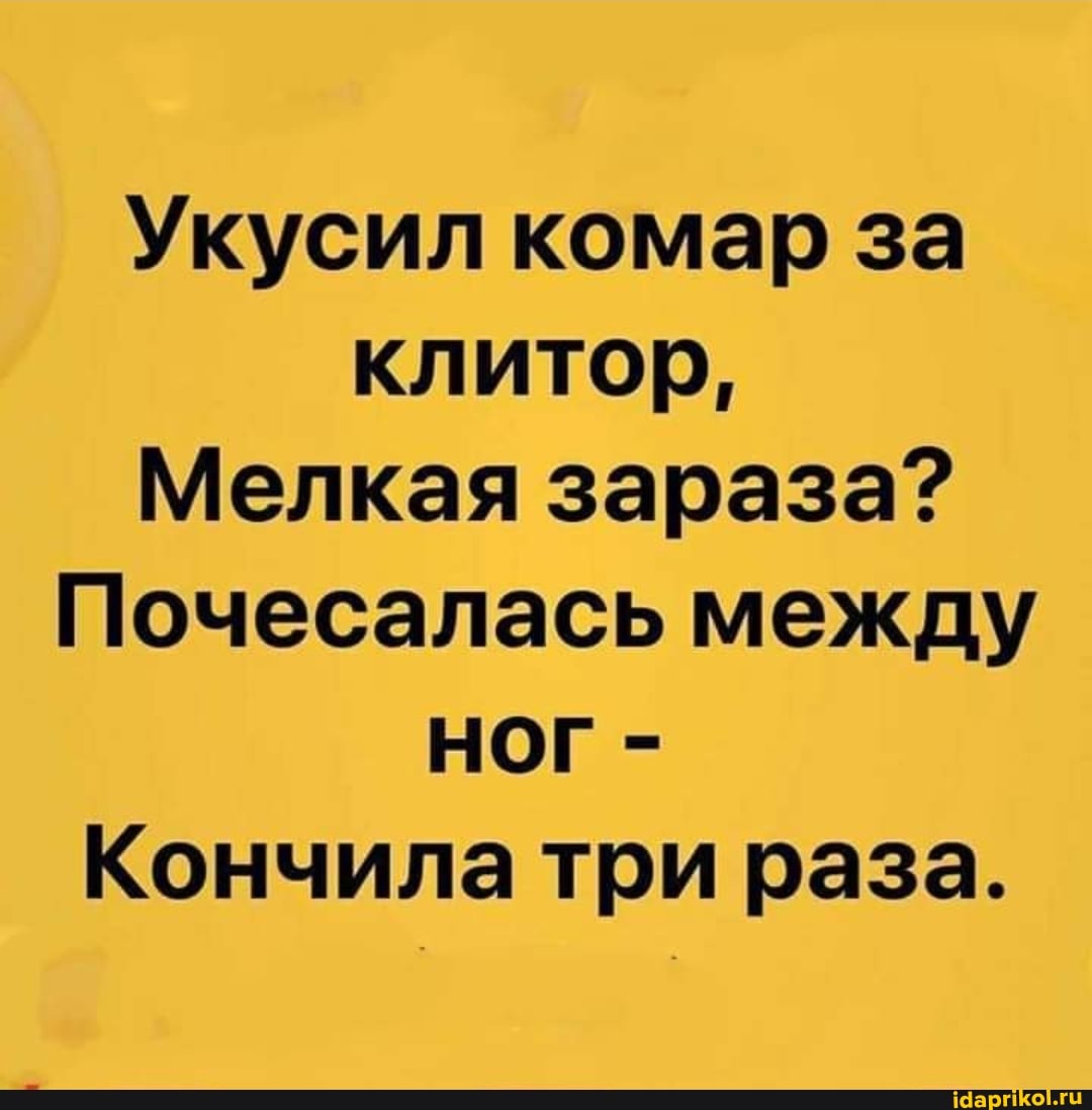 Клитор Укусил комар за клитор, Мелкая зараза? Почесалась между Кончила три раза. -  АйДаПрикол