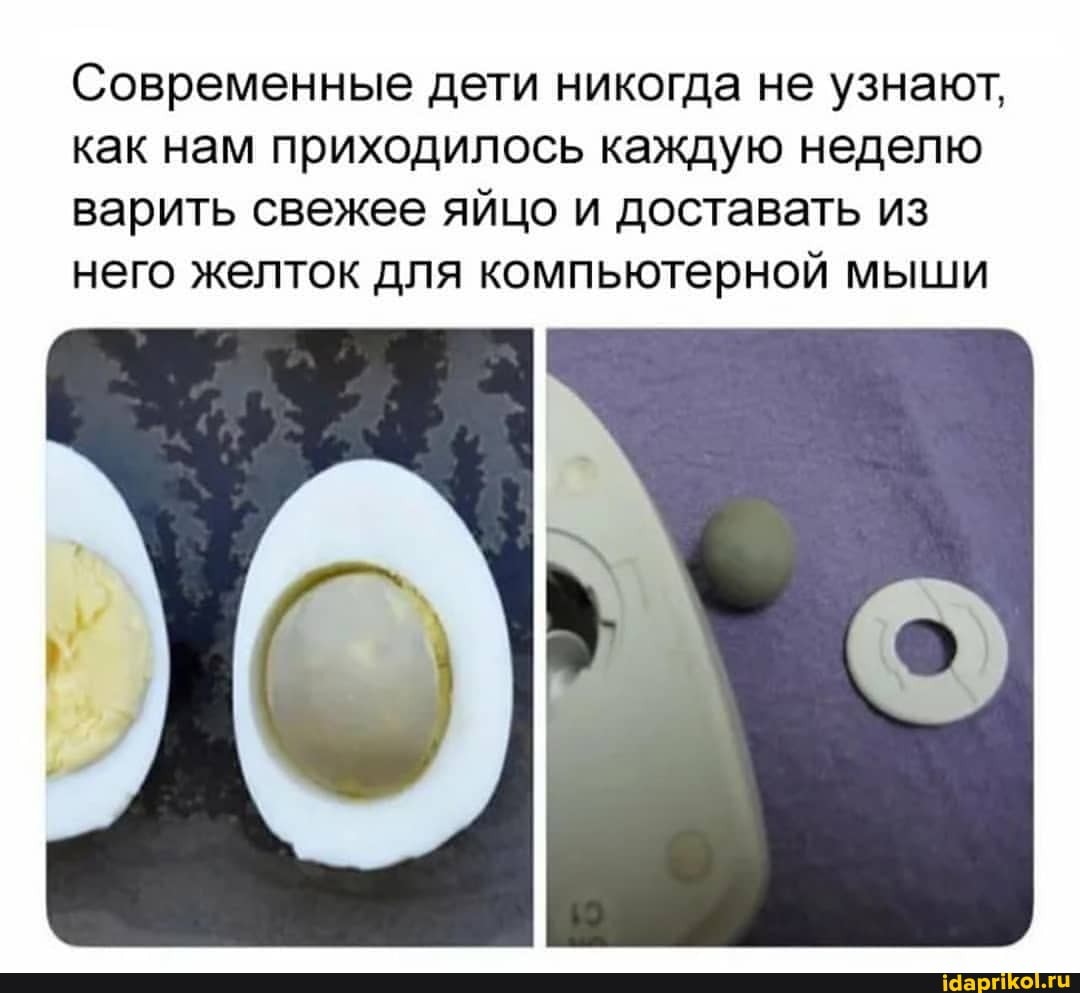 Современные дети никогда не узнают, как нам приходилось каждую неделю варить свежее яйцо и доставать из него желток для компьютерной мыши