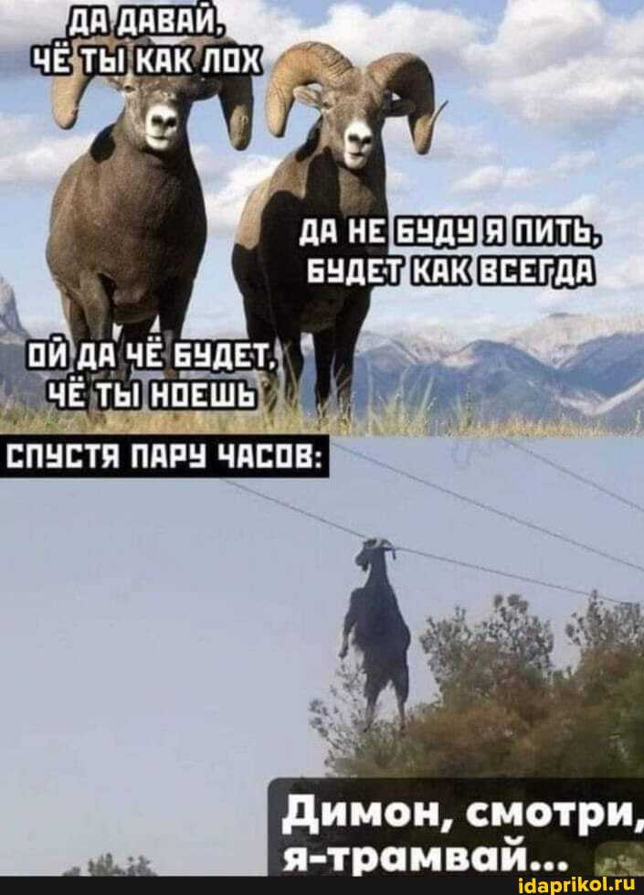 ДП ЛАВАЙ" ^
ТЬ! КАК
ДА НЕ Я ПИТЬ БУДЕ КАК ВСЕГДА
ПИ ДА ЧЕ БЧДЕТ ЧЕ НОЕШЕ
СПУСТЯ ПАРЧ ЧАСОВ
Димон, сыотри,
