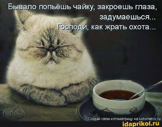 Бывало попьёшь чайку. закроешь глаза, задумаешься
Господи, как жрать охота