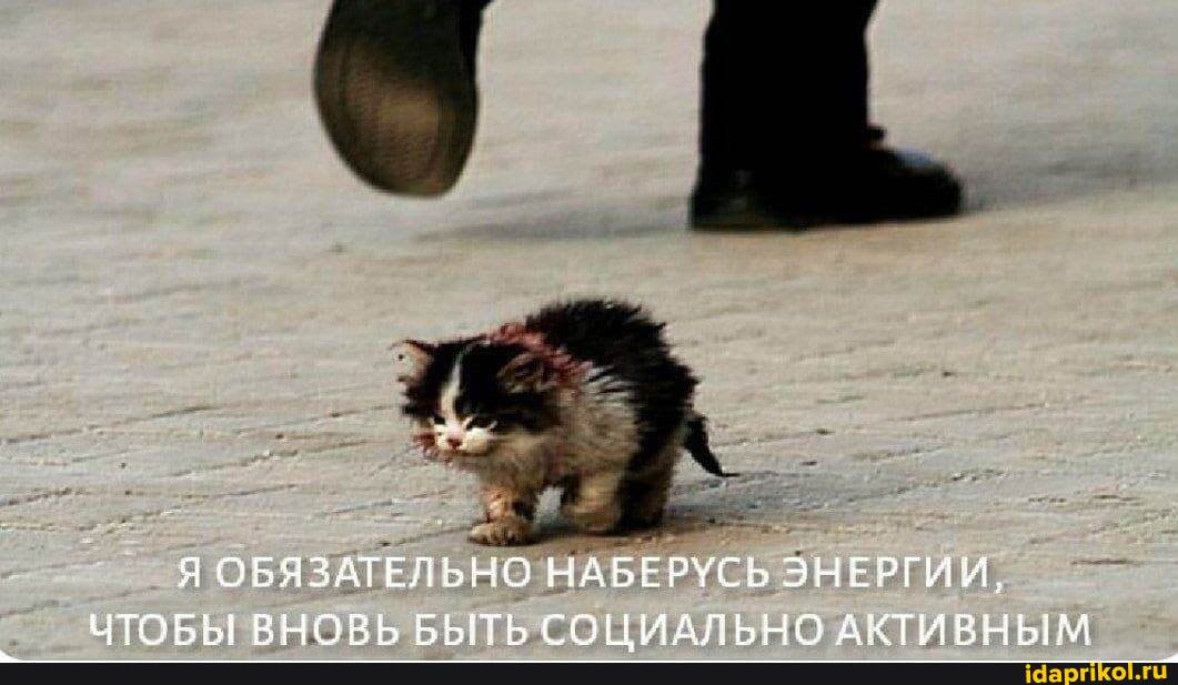 Я ОБЯЗАТЕЛЬНО НАБЕРУСЬ ЭНЕРГИИ,
АТОЕНЕ Р-НА ГО! ММАЛЬЕ-ОС АКТИРНЬГА