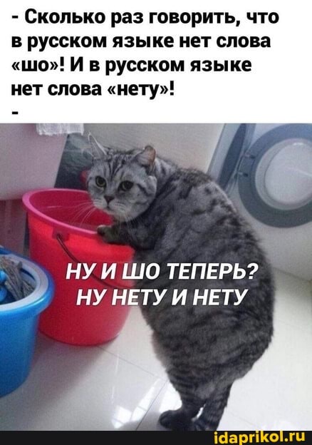 - Сколько раз говорить, что в русском языке нет слова
"шо"! И в русском языке нет слова "нету"!
НУ ШО ТЕПЕРЬ?
НУ