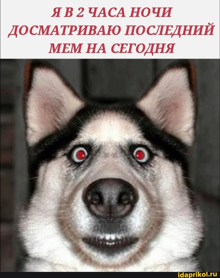 ЧАСА НОЧИ ДОСМАТРИВАЮ ПОСЛЕДНИЙ МЕМ НА СЕГОДНЯ