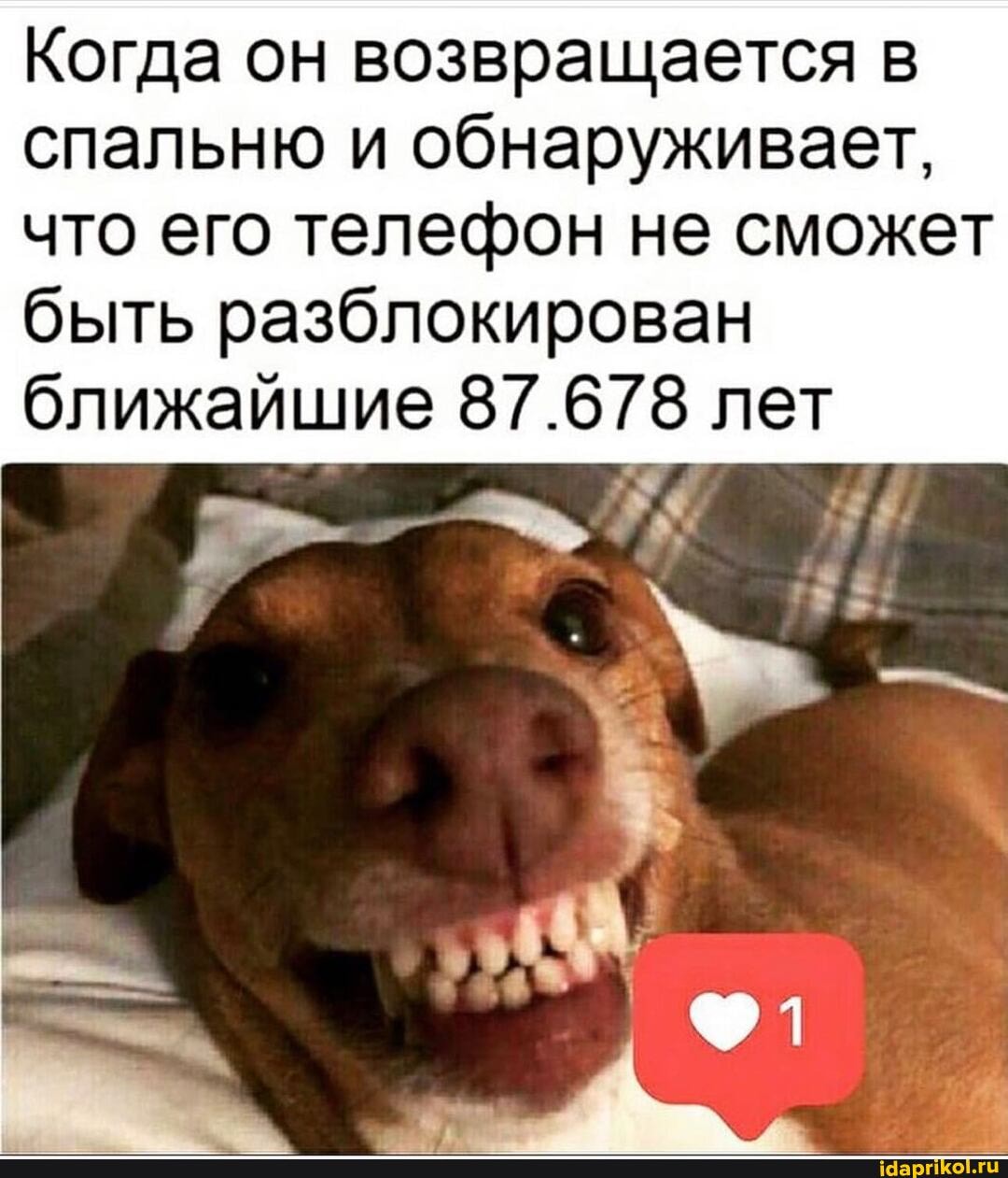 Когда он возвращается в спальню и обнаруживает, что его телефон не сможет быть разблокирован ближайшие 87.678 лет