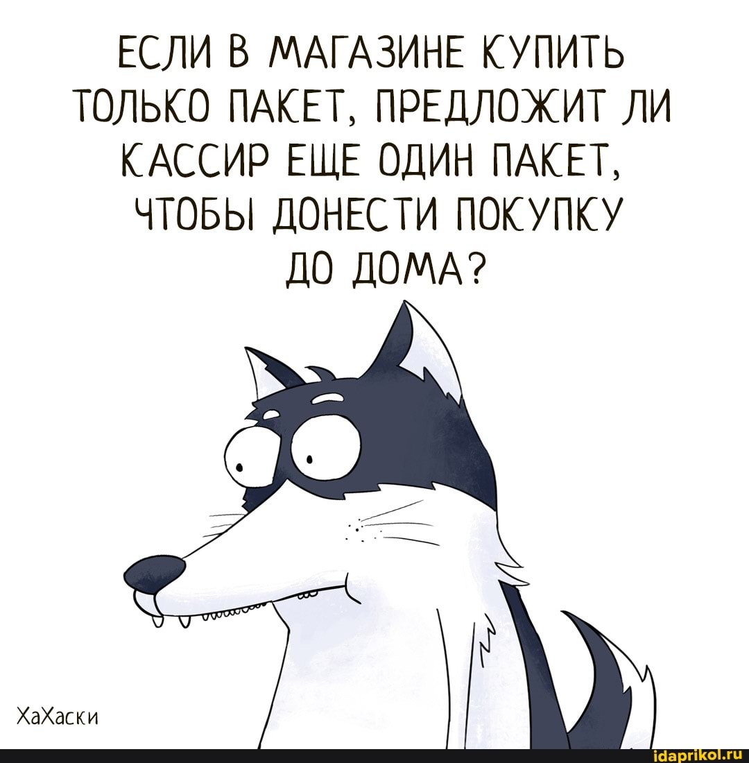 ЕСЛИ В МАГАЗИНЕ КУПИТЬ ТОЛЬКО ПАКЕТ, ПРЕДЛОЖИТ ЛИ КАССИР ЕЩЕ ОДИН ПАКЕТ,
ЧТОБЫ ДОНЕСТИ ПОКУПКУ ДО ДОМА?
ХаХаски