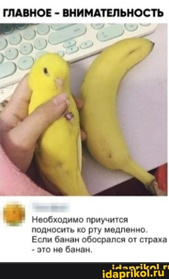 ГЛАВНОЕ - ВНИМАТЕЛЬНОСТЬ
Необходимо приучится подносить ко рту медленно
Если банан обосрался от страха
- это не банан.