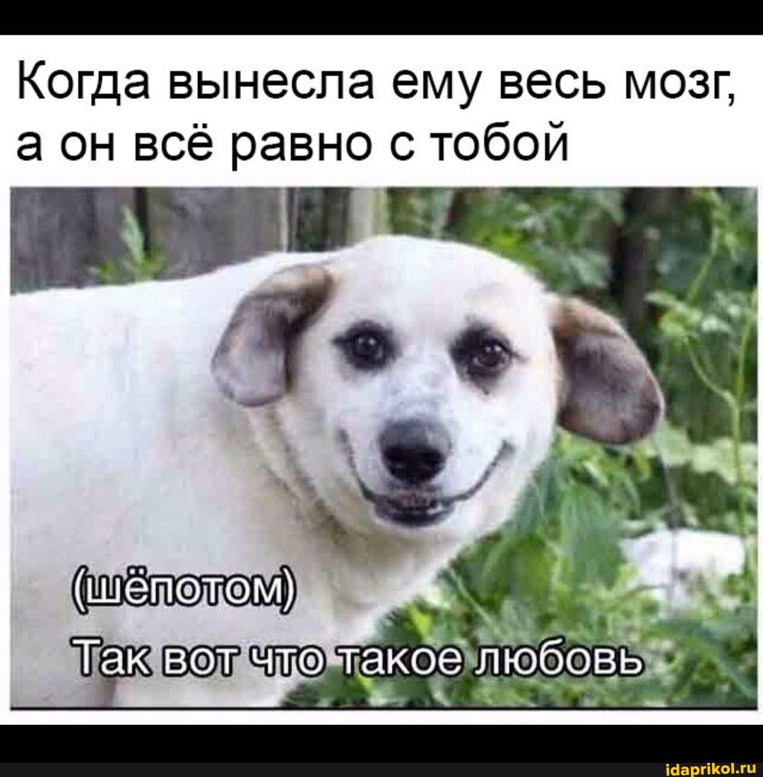 Когда вынесла ему весь мозг, а он всё равно с тобой
Так вот что такое любовь