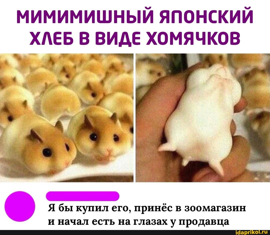 МИМИМИШНЫЙ ЯПОНСКИЙ ХЛЕБ В ВИДЕ ХОМЯЧКОВ
Я бы купил его, принёс в зоомагазин и начал есть на глазах у продавца