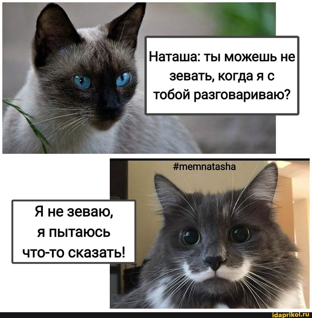 Наташа: ты можешь не зевать, когда я с тобой разговариваю?
Я не зеваю, я пытаюсь что-то сказаты