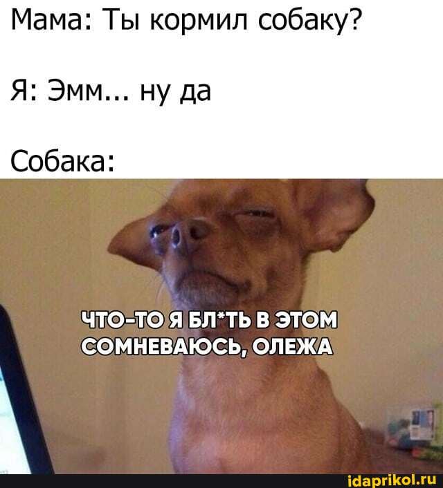 Мама: Ты кормил собаку?
Собака:
ЧТО-ТО.Я БЛ*ТЬ В ЭТОМ
СОМНЕВАЮСЬ, ОЛЕЖА