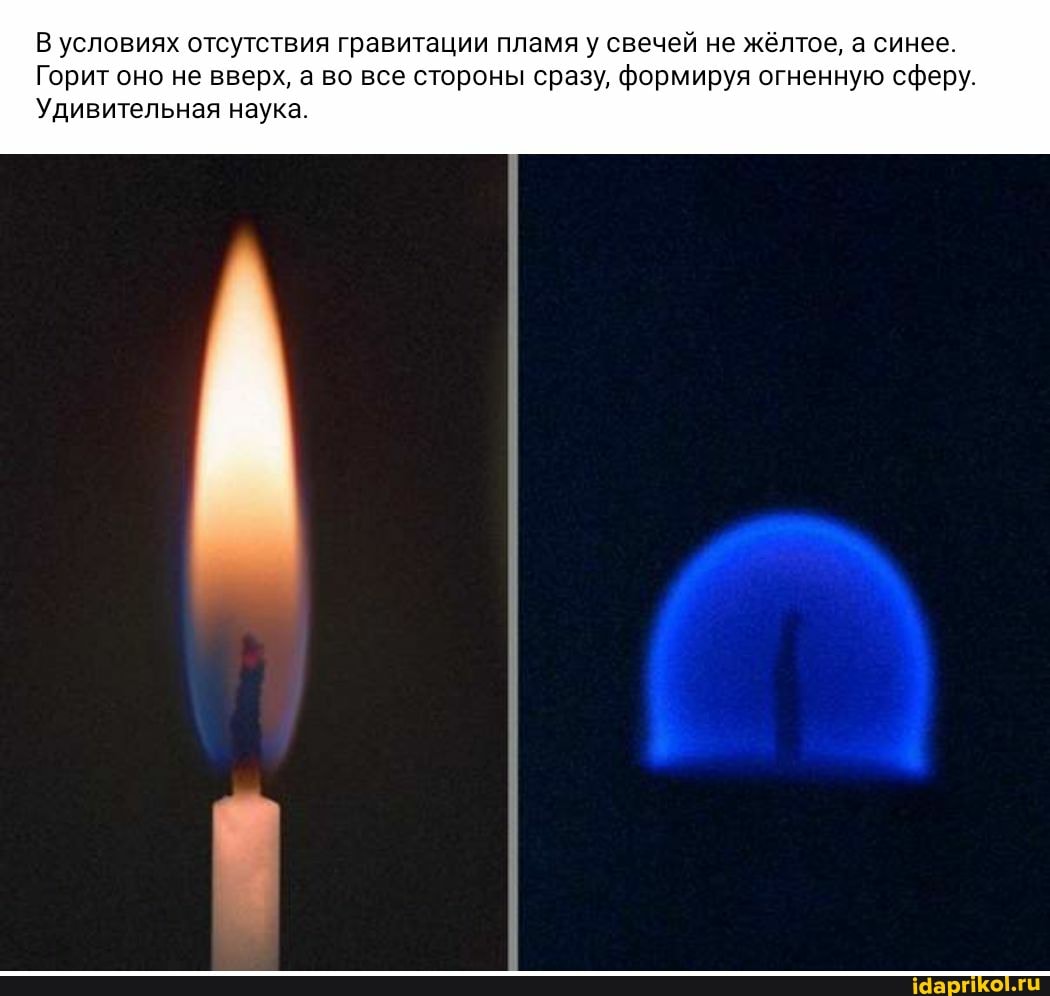 В условиях отсутствия гравитации пламя у свечей не жёлтое, а синее
Горит оно не вверх, а во все стороны сразу, формируя огненную сферу
Удивительная наука
