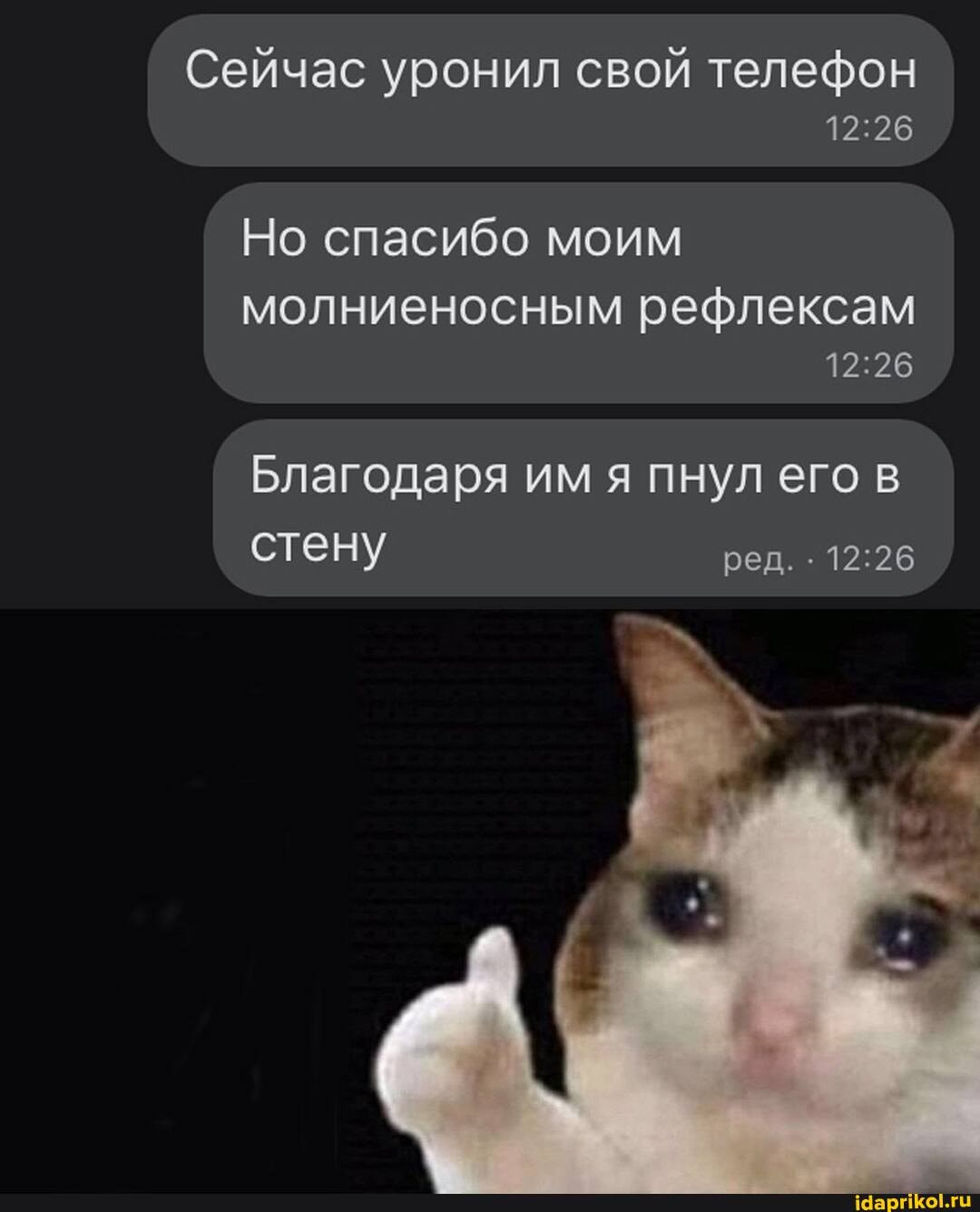 Сейчас уронил свой телефон
Но спасибо моим
молниеносным рефлексам
Благодаря им я пнул его в ред.
