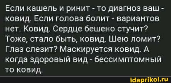 Если кашель и ринит - то диагноз ваш - ковид. Если голова болит - вариантов нет. Ковид. Сердце бешено стучит?
Тоже, стало быть, ковид. Шею ломит?
Глаз слезит? Маскируется ковид. А когда здоровый вид - бессимптомный то ковид.