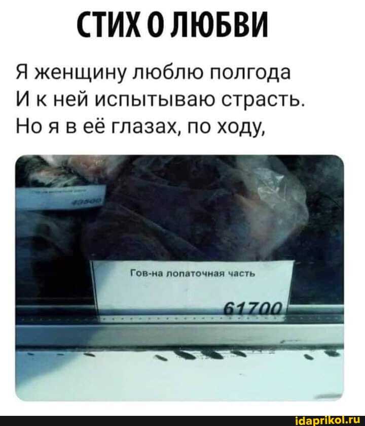 СТИХ ЛЮБВИ
Я женщину люблю полгода
И кней испытываю страсть.
Но я в её глазах, по ходу,