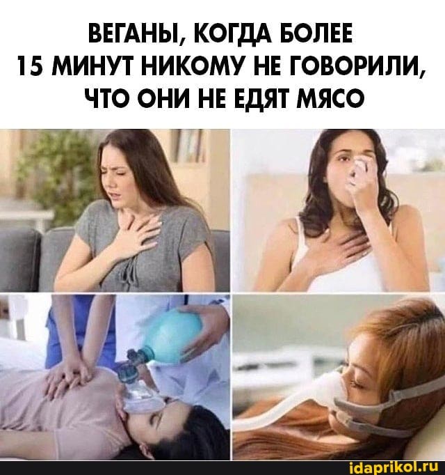 ВЕГАНЫ, КОГДА БОЛЕЕ
15 МИНУТ НИКОМУ НЕ ГОВОРИЛИ,
ЧТО ОНИ НЕ ЕДЯТ МЯСО