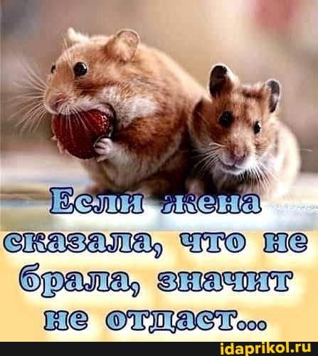 брала иназинимы
@УРЩЯХ ооо