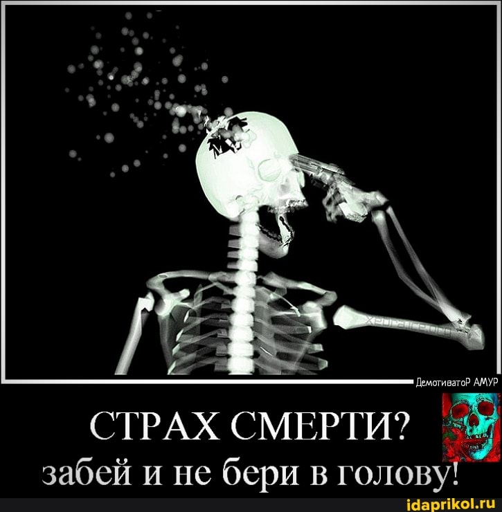 Демотиватор АМУР
СТРАХ СМЕРТИ? забей и не бери в голову!