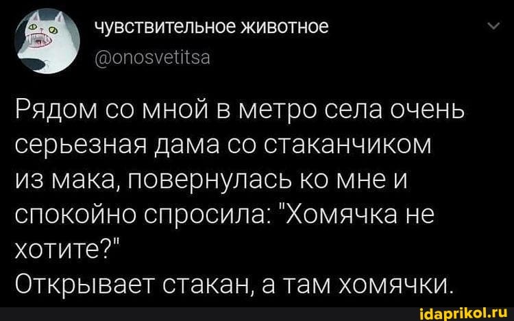 чувствительное животное
Рядом со мной в метро села очень серьезная дама со стаканчиком из мака, повернулась ко мне и спокойно спросила: "Хомячка не хотите?"
Открывает стакан а там хомячки.