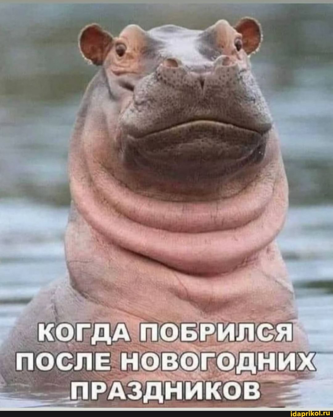 КОГДА!
"ПОСЛЕ 'новогодних
ПРАЗДНИКОВ