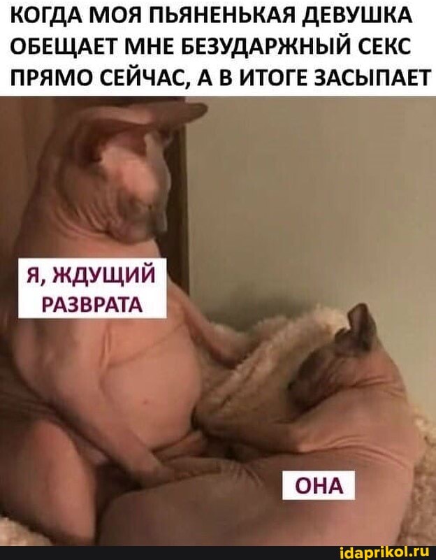 КОГДА МОЯ ПЬЯНЕНЬКАЯ ДЕВУШКА ОБЕЩАЕТ МНЕ БЕЗУДАРЖНЫЙ СЕКС ПРЯМО СЕЙЧАС, А В ИТОГЕ ЗАСЫПАЕТ
Я, ЖДУЩИЙ РАЗВРАТА