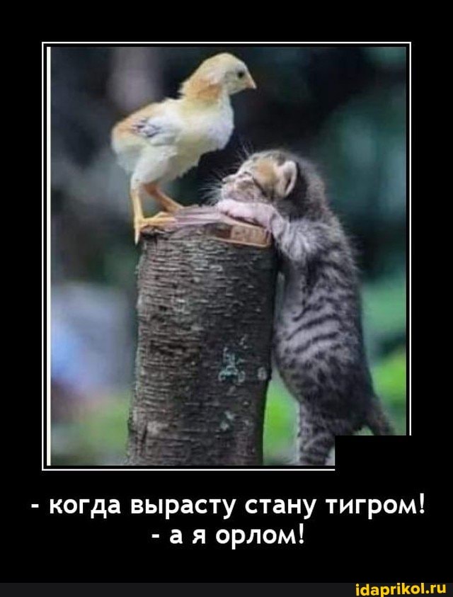 - когда вырасту стану тигром!
- ая орлом!