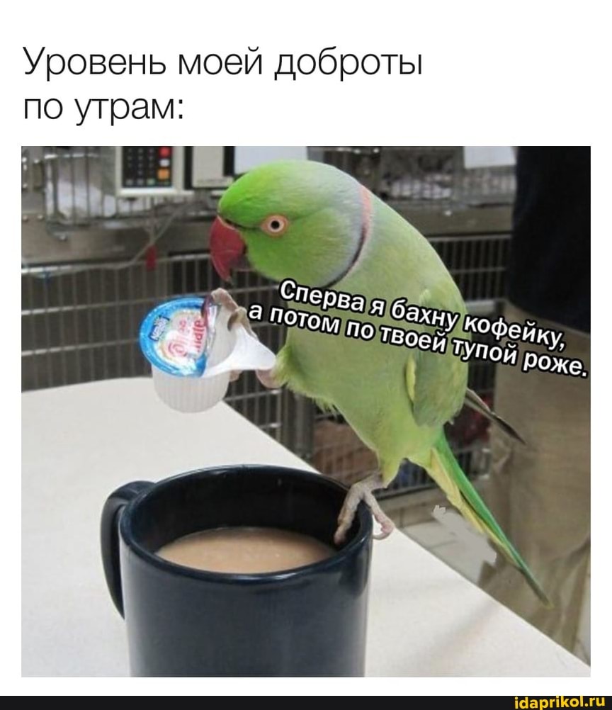 Уровень моей доброты по утрам: