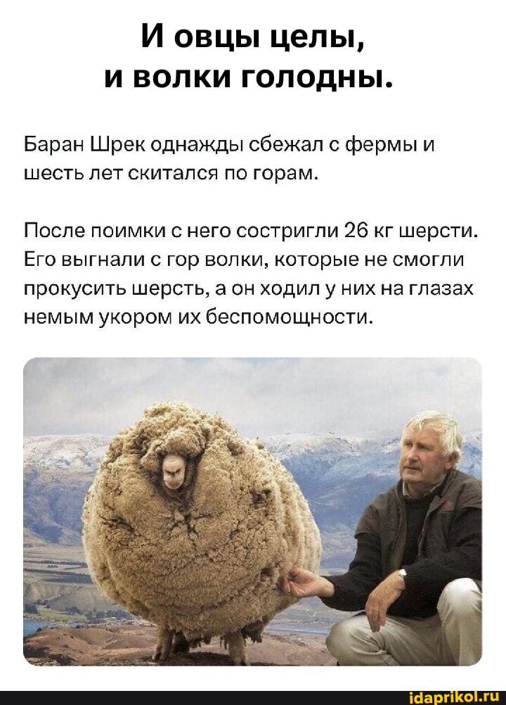 Ебёт овцу - Yandex Video aramada çevrimiçi izle Ебёт овцу - Yandex Video aramada çevrimiçi izle