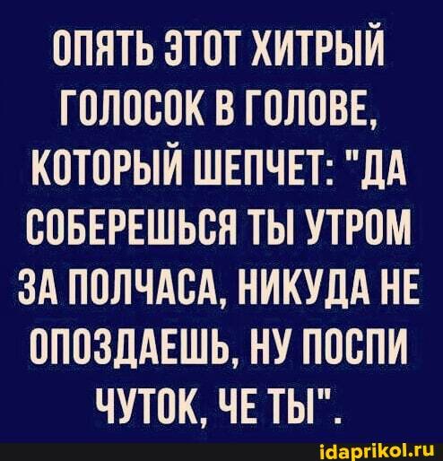 ОПЯТЬ ЭТОТ ХИТРЫЙ ГОЛОСОК В ГОЛОВЕ,
КОТОРЫЙ ШЕПЧЕТ: "ДА СОБЕРЕШЬСЯ ТЫ УТРОМ ЗА ПОЛЧАСА, НИКУДА НЕ ОПОЗДАЕШЬ, НУ ПОСПИ ЧУТОК ЧЕТЫ".