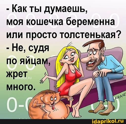 - Как ты думаешь,
моя кошечка беременна или просто толстенькая?
- Не, судя