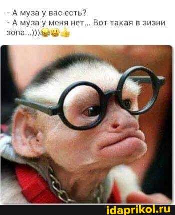 - А муза у вас есть?
- А муза у меня нет... Вот такая в зизни зопа...)))&