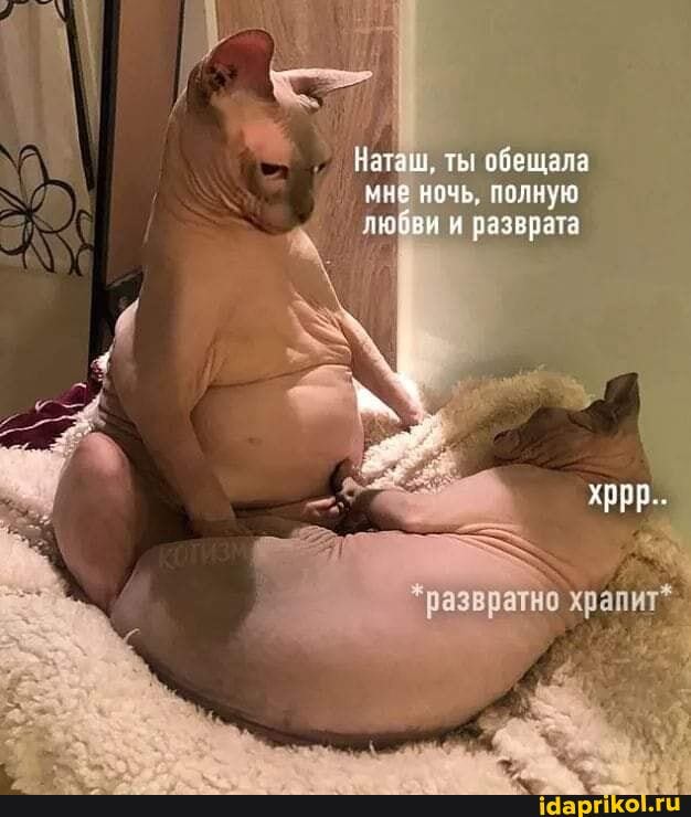 Наш, ты обещала
НОЧЬ, ПОЛНУЮ
любви и разврата
хррр..