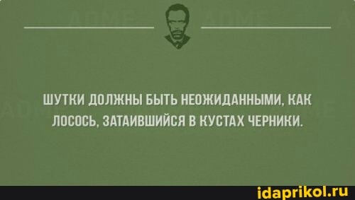 ШУТКИ ДОЛЖНЫ БЫТЬ НЕОЖИДАННЫМИ, КАК ЛОСОСЬ, ЗАТАИВШИЙСЯ В КУСТАХ ЧЕРНИКИ.
