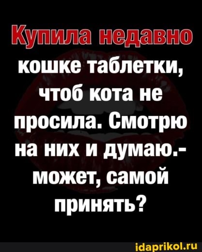 Купи ламе кошке таблетки, чтоб кота не просила. Смотрю на них и думаю.- может, самой принять?