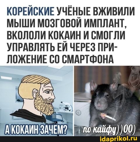 КОРЕЙСКИЕ УЧЁНЫЕ ВЖИВИЛИ МЫШИ МОЗГОВОЙ ИМПЛАНТ,
ВКОЛОЛИ КОКАИН И СМОГЛИ УПРАВЛЯТЬ ЕЙ ЧЕРЕЗ ПРИ-
ЛОЖЕНИЕ СМАРТФОНА
ЗАЧЕМ? I