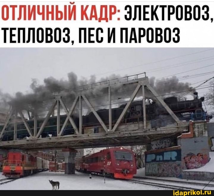ОТЛИЧНЫЙ КАДР: ЭЛЕКТРОВОЗ,
ТЕПЛОВОЗ, ПЕС И ПАРОВОЗ