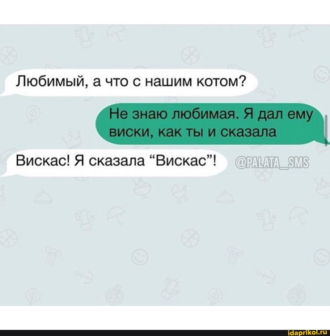 Любимый, а что с нашим котом?
Вискас! Я "Вискас"!