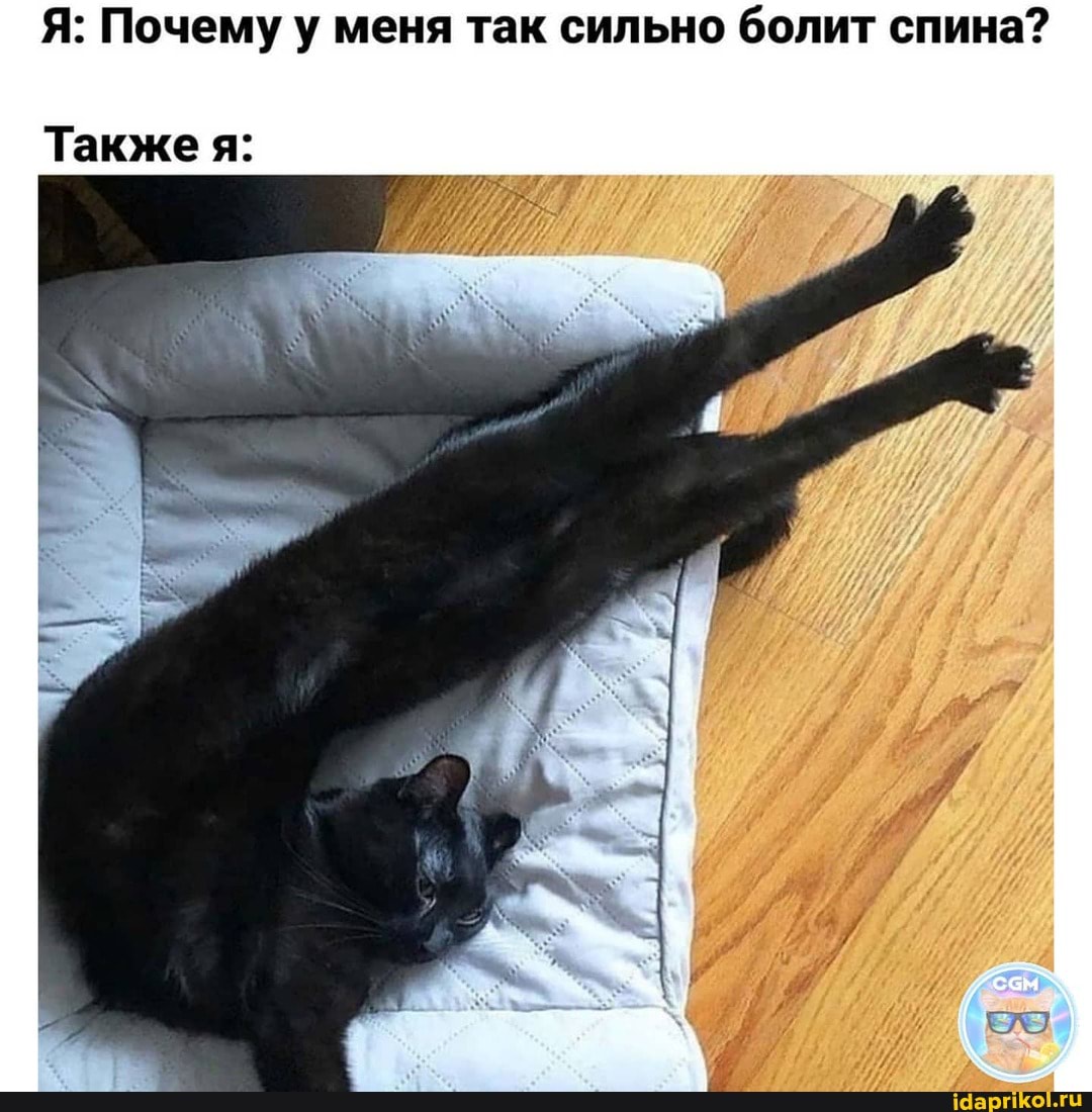 Я: Почему у меня так сильно болит спина?
Также я: