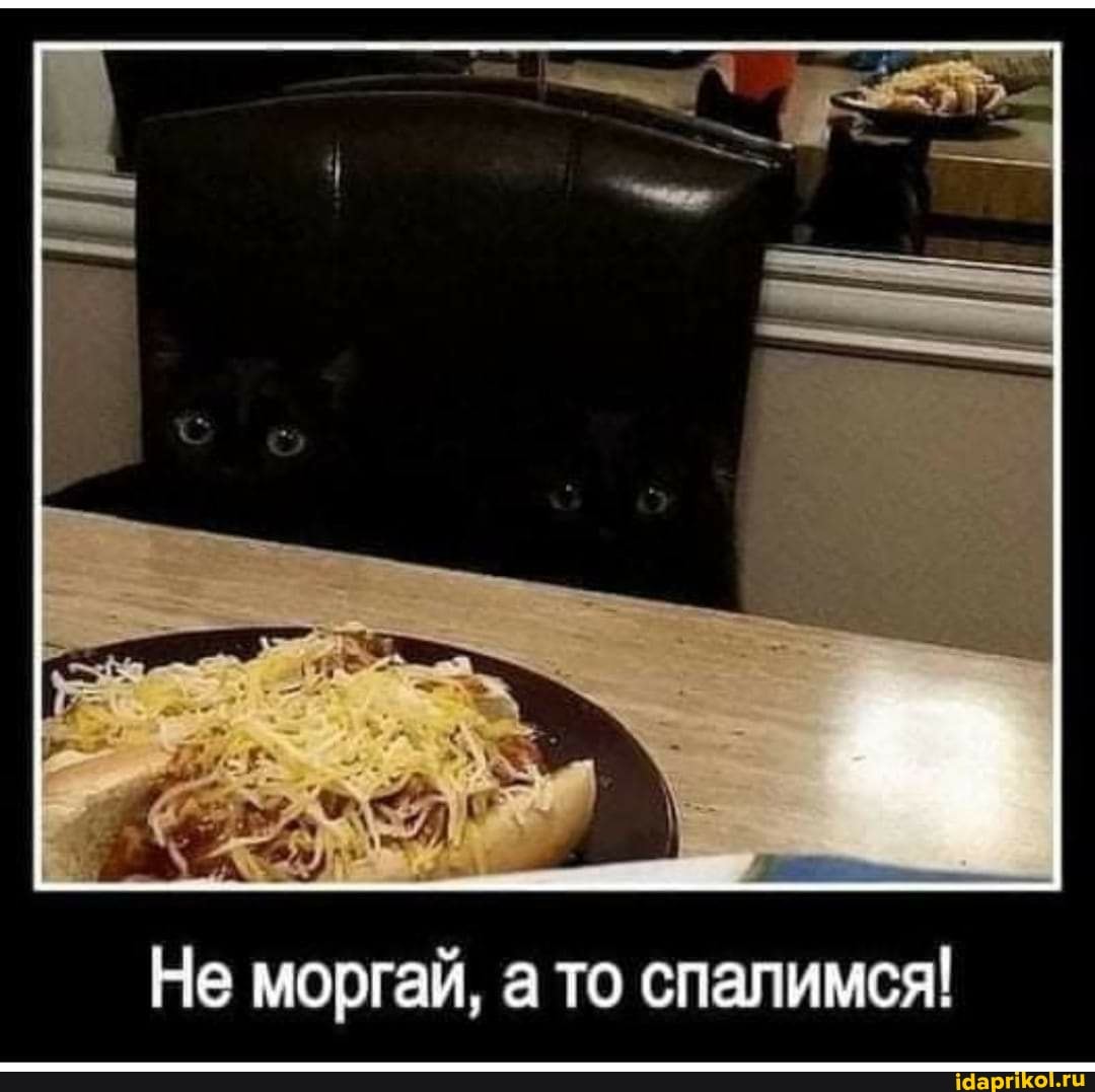 Не моргай, а то спалимся!