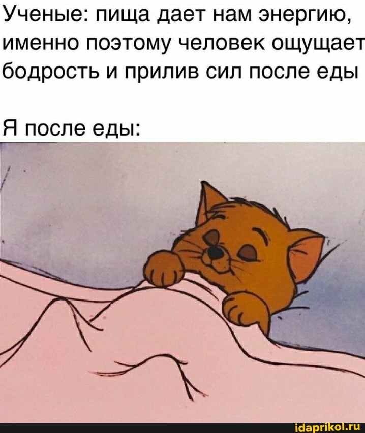 Ученые: пища дает нам энергию, именно поэтому человек ощущает бодрость и прилив сил после еды
Я после еды: