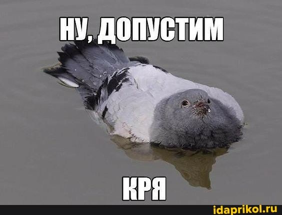 НУ, ДОПУСТИМ
КРЯ