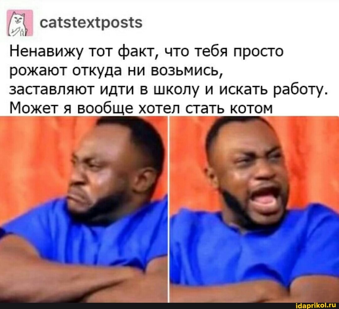 Ненавижу тот факт, что тебя просто рожают откуда ни возьмись,
заставляют идти в школу и искать работу.
Может я вообще хотел стать котом