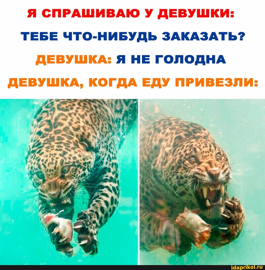 Я СПРАШИВАЮ У ДЕВУШКИ:
ТЕБЕ ЧТО-НИБУДЬ ЗАКАЗАТЬ?
ДЕВУШКА: Я НЕ ГОЛОДНА ДЕВУШКА, КОГДА ЕДУ ПРИВЕЗЛИ: