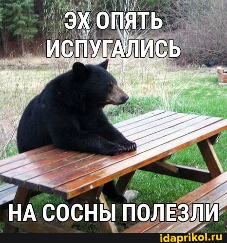 ЭХ ОПЯТЬ ИСПУГАЛИСЬ
НА СОСНЫ ПОЛЕЗЛИ