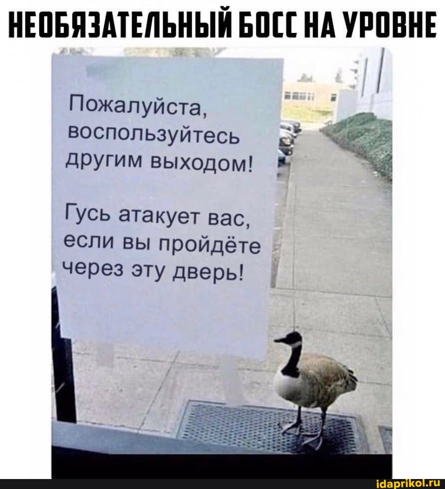 НЕОБЯЗАТЕЛЬНЫЙ БОГС НА УРОВНЕ
Пожалуйста,
воспользуйтесь другим выходом!
Гусь атакует вас, если вы пройдёте через эту дверь!
