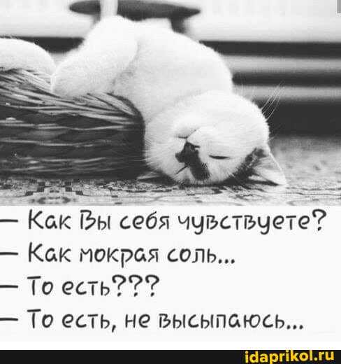- Как Вы себя чувствуете?
- Как мокрая соль...
То есть???
То есть, не