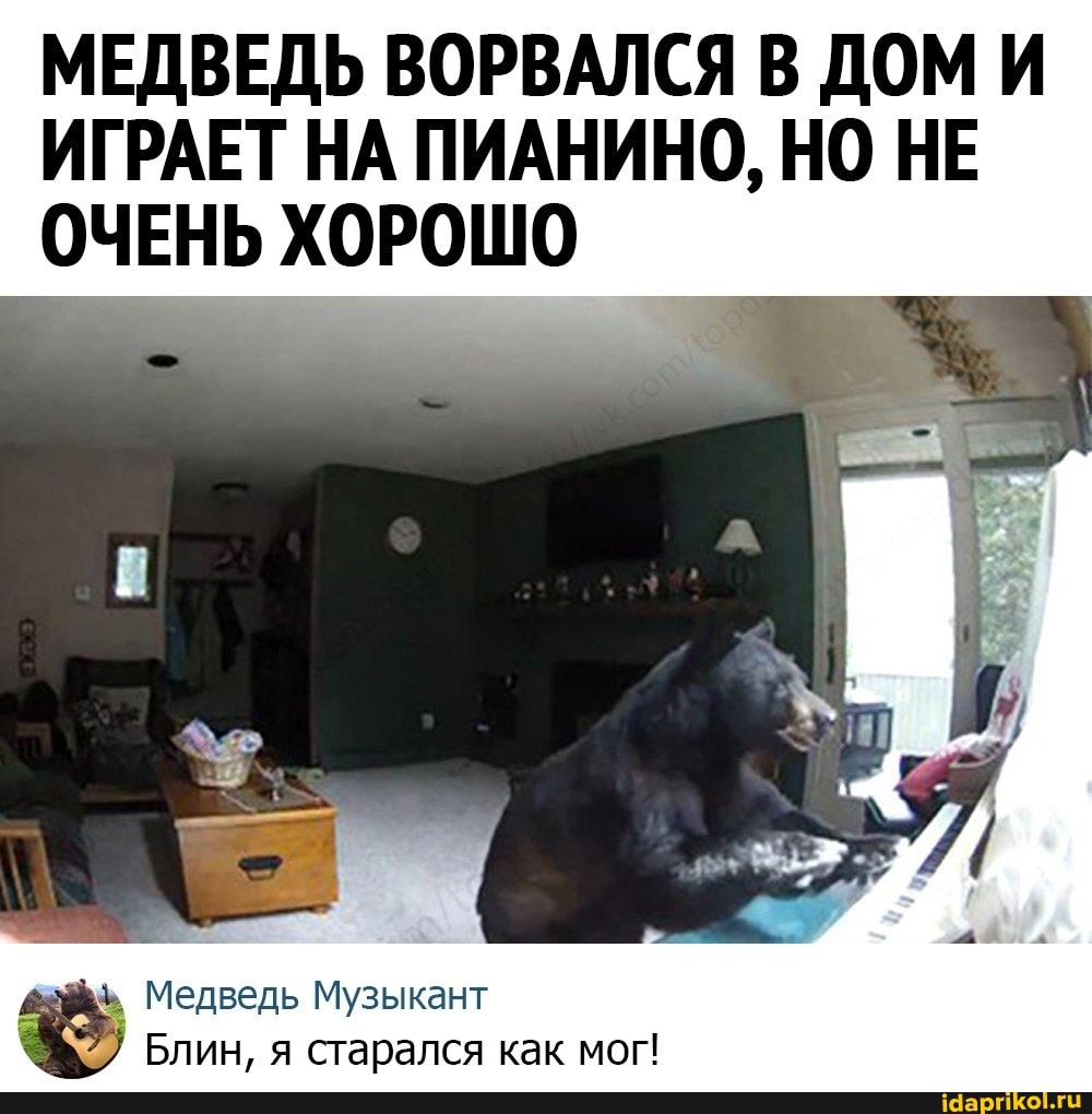 МЕДВЕДЬ ВОРВАЛСЯ В ДОМ И ИГРАЕТ НА ПИАНИНО, НО НЕ ОЧЕНЬ ХОРОШО
Медведь Музыкант
Блин, я старался как мог!